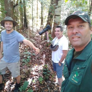 August 03 to 10, 2018. Trip to the Amazon with friends Rafael Barreto and Renato Sá.