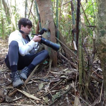 20 e 21 de agosto de 2018. Mostrando aves do Parque Nacional do Itatiaia e entorno para o amigo Pedro Junqueira.