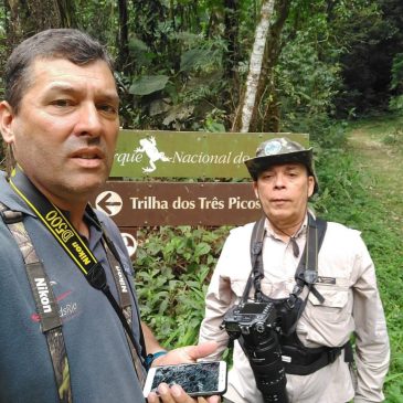 02 e 03 de Setembro - Mostrando as aves do Parque Nacional do Itatiaia ao amigo capixaba Alexandre Carvalho.