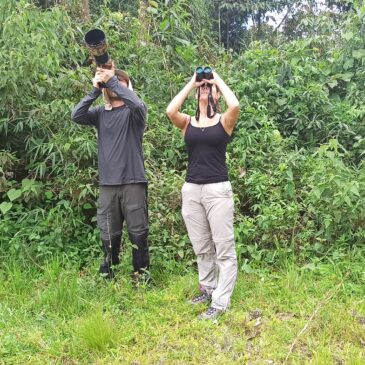 09 e 10 de Janeiro de 2021 - Expedição para observação e fotografia de aves pelo Parque Nacional do Itatiaia o casal Ricardo e Eliza.