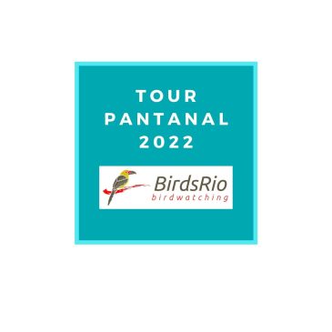 Pacote Pantanal 2022 – 7 dias para 3 pessoas em quarto duplo ou single.