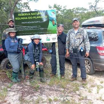 4 a 9 de Abril de 2022 – Expedição Rolinha do Planalto –  Norte de Minas Gerais com os fotógrafos Thiago Mafra, Cláudia Rodrigues, Paula Seabra e Sergio Cavinato.