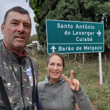 10 a 20 de Junho de 2023 - Expedição para Fotografia de aves com Stephanie Arnow pelo Mato Grosso.