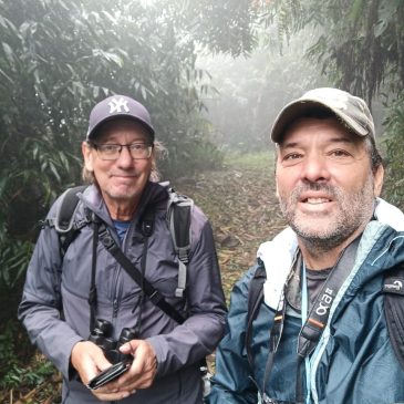 14 e 15 de agosto de 2023 – Expedição para Fotografia de aves pela Serra da Bocaina e Parque Nacional do Itatiaia com o fotógrafo sueco Mats Hildeman