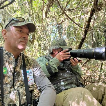 20 E 21 de maio de 2024 - Expedição para Fotografia de aves pela Serra da Bocaina e Parque Nacional do Itatiaia com o Fernando Nilson de São Paulo.