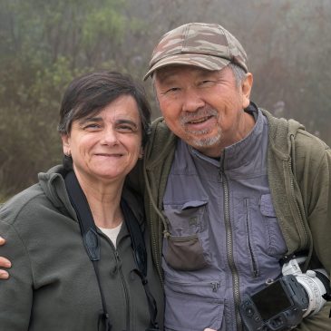 05 e 06 de Setembro de 2024 - Tour de fotografia de aves pelo Parque Nacional do Itatiaia e Serra da Bocaina com os fotografos Vadi Tanaka e sua esposa Vania, com Paulo e sua esposa Marcia e seu filho Gabriel.