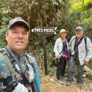 02 e 03 de Setembro de 2024 - Tour de fotografia de aves pelo Parque Nacional do Itatiaia com os americanos Jerry Bartelt and Judy Sauer.