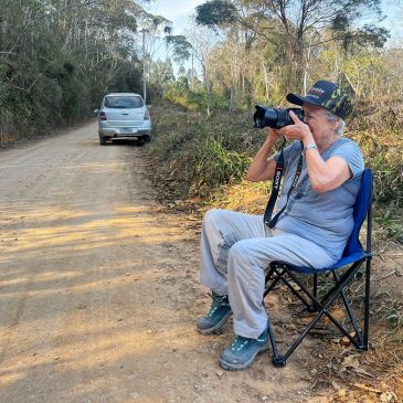 10 a 13 de Setembro de 2024 - Tour de fotografia de aves pela Ilha Grande, Monteiro Lobato e Salesopolis SP com a fotografa Lucia Rogers.