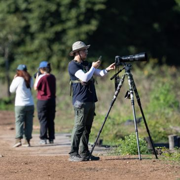23 de maio a 01 de junho – Tour para fotografia de aves e vida silvestre pelo Pantanal de Mato Grosso e Chapada dos Guimaraes com o Anasse, sua esposa Marina e sua sogra Ana Cristina.