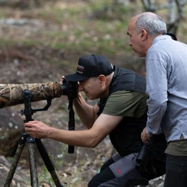 25 de agosto a 11 de setembro de 2025 – Tour para observacao e fotografia de aves com os espanhois Ignazi Rodriguez e Francesco pelo Mata Atlantica do Sudeste do Brasil.